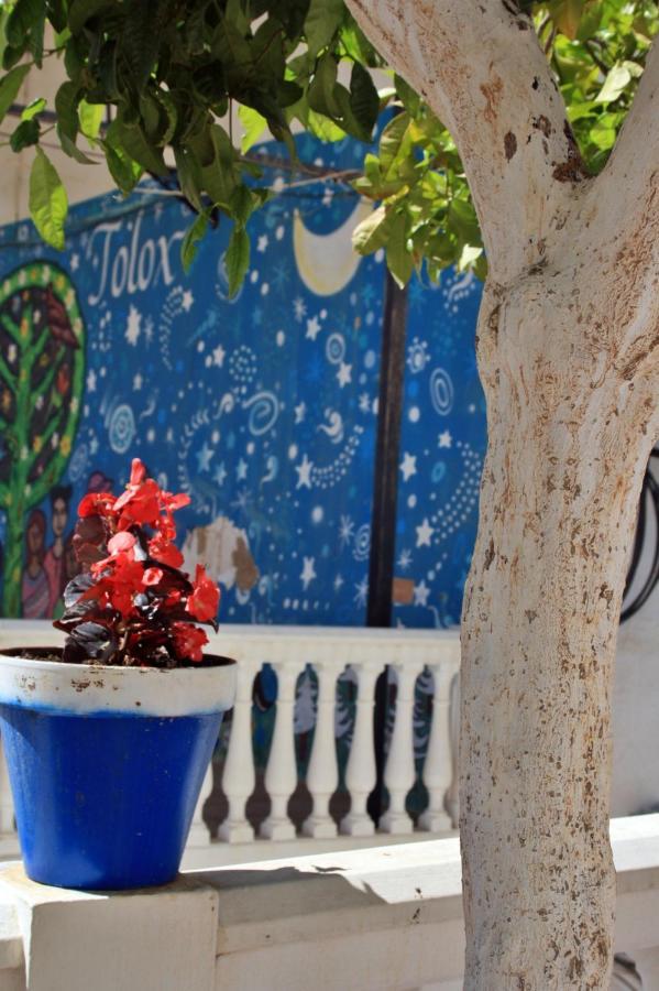 Appartamento Casa Pepe La Rosa Atico Tolox Esterno foto