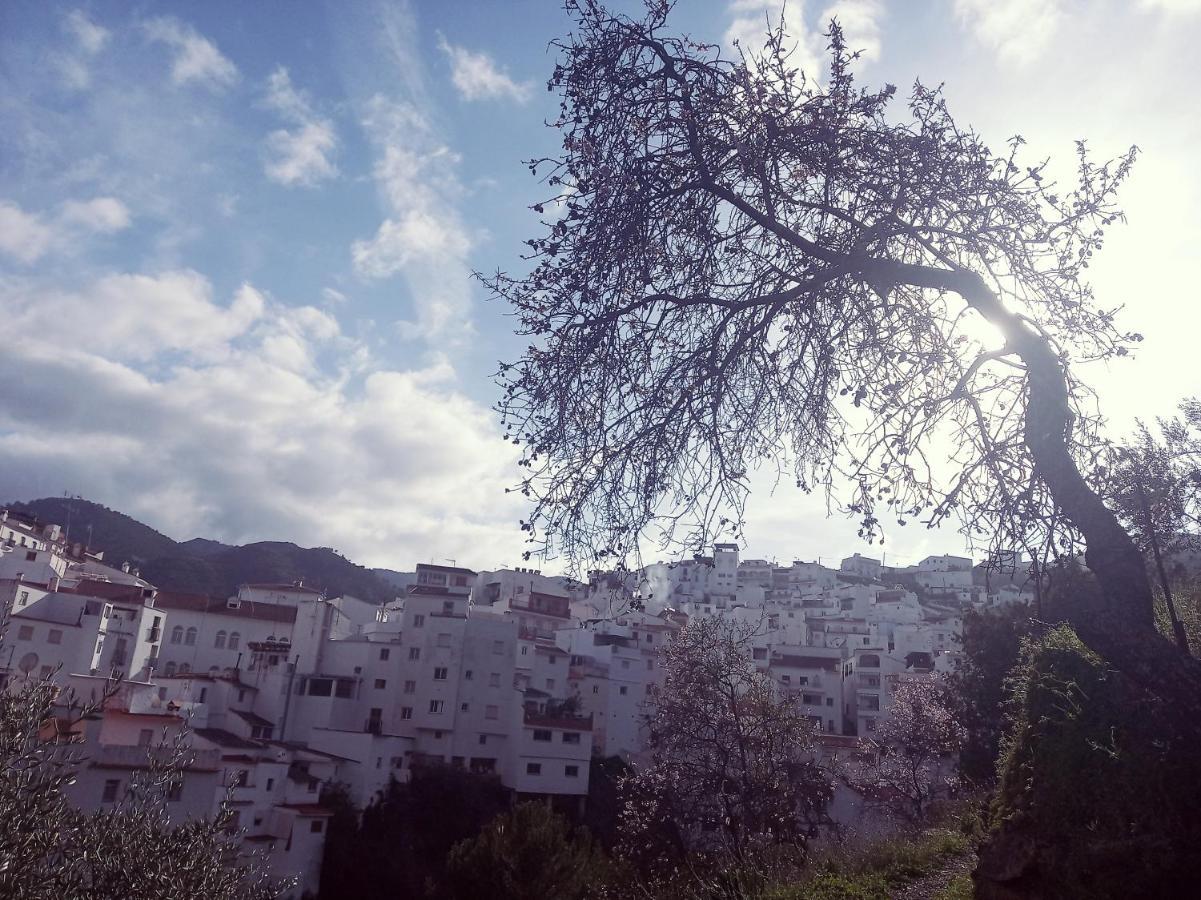 Appartamento Casa Pepe La Rosa Atico Tolox Esterno foto