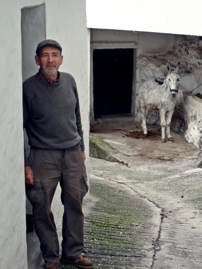 Appartamento Casa Pepe La Rosa Atico Tolox Esterno foto